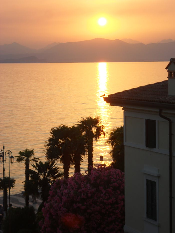 Beautiful sunset view over Lake Garda with palm trees and vibrant colors in Lazise, Italy.